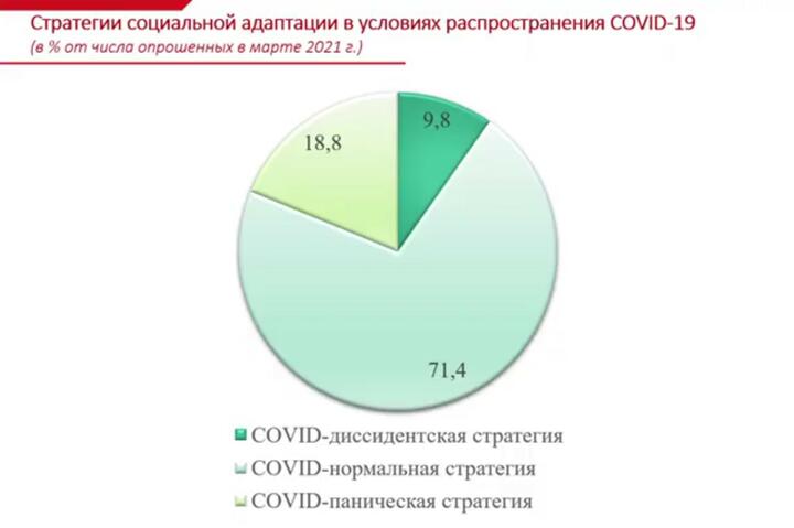 Фото: Скриншот презентации исследования