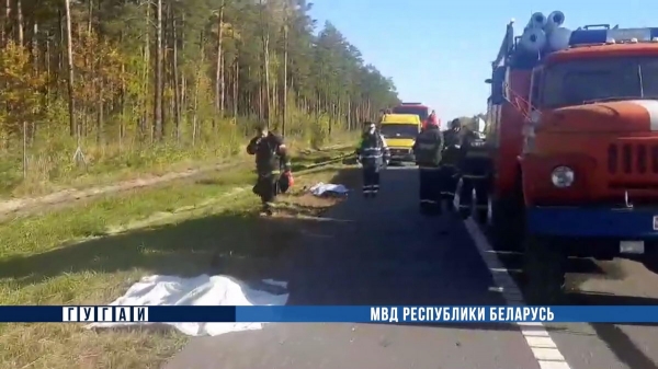 Под Осиповичами грузовик насмерть сбил менявших колесо мужчин