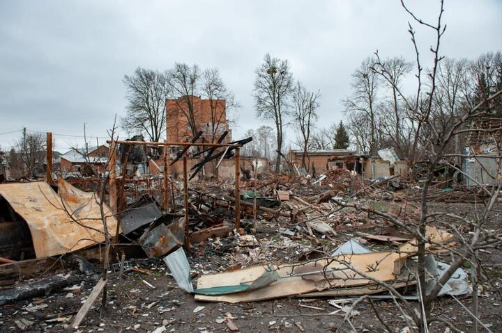 Фото: телеграм-канал Дмитрия Живицкого