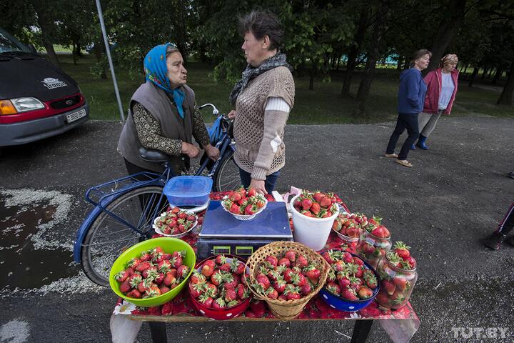 Сколько еще ждать недорогую ягоду? Узнали, когда начало сезона продаж в клубничной столице страны0