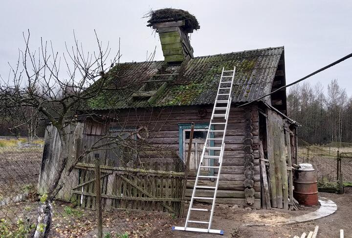 В Беларуси хотят узаконить самострой, но не весь: есть исключения0