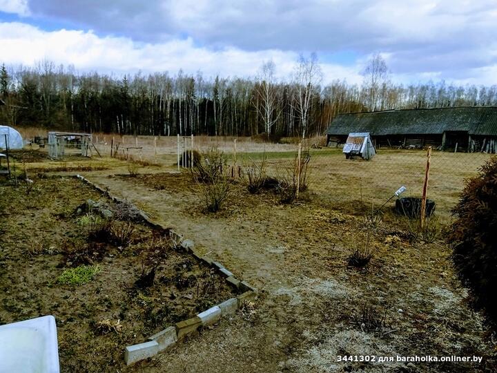 Для интровертов. Посмотрели, за сколько и где в Беларуси можно купить хутора (цены, скорее всего, вас удивят)6