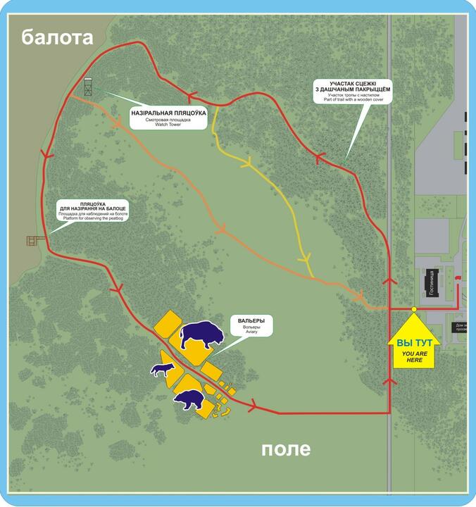 Карта с сайта Березинского заповедника
