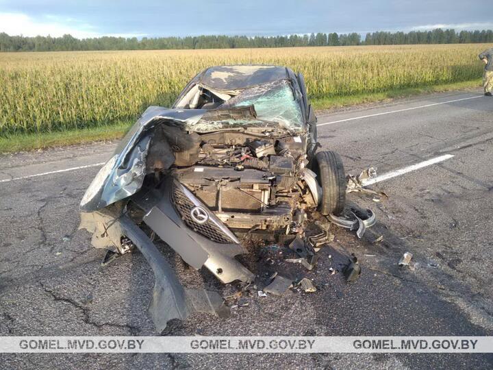 Легковушка после ДТП с лосем. Фото: МВД