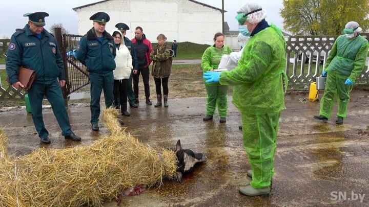 Комплексные учения по гражданской обороне в Светлогорске. Фото: "Светлагорскія навіны"