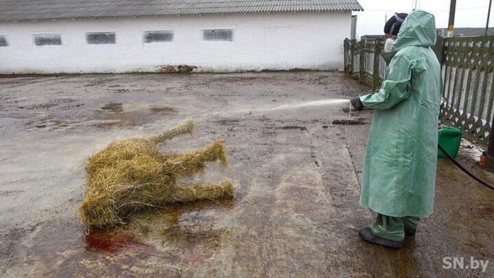 Комплексные учения по гражданской обороне в Светлогорске. Фото: "Светлагорскія навіны"