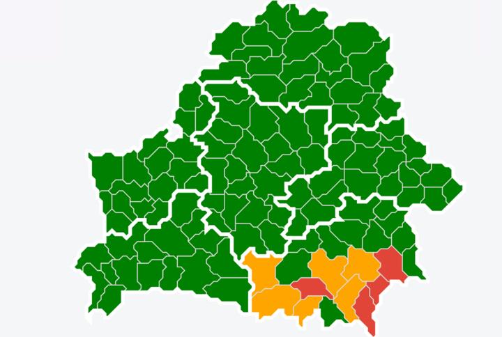Карта Беларуси, на которой красным цветом отмечены районы, где посещение лесов запрещено, желтым — где ограничено, зеленым, где разрешено. Данные на 19 ноября. Иллюстрация: Минлесхоз