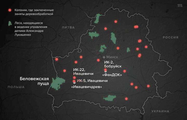 Карта лесов, находящихся в ведении Управления делами Александра Лукашенко, и колоний, где заключенные заняты деревообработкой (Бобруйск ошибочно подписан западнее, чем нужно). Earthsight