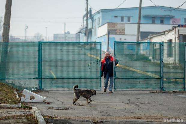 Территория бывшего Червенского рынка осенью 2014 года. Фото: TUT.BY