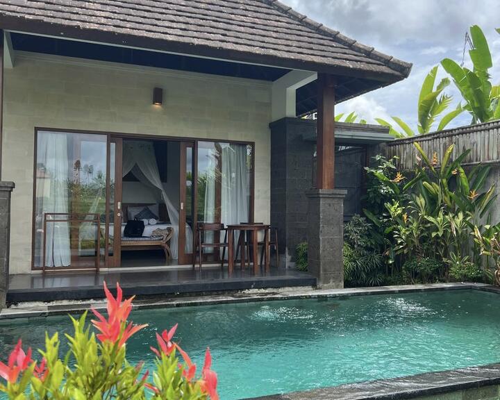 Вилла Poka UBUD на острове Бали. Январь 2023 года. Фото предоставлено героем материала.