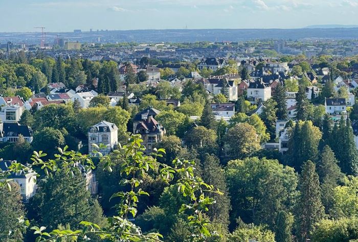 Белорусская пара переехала в Германию. Фото из личного архива