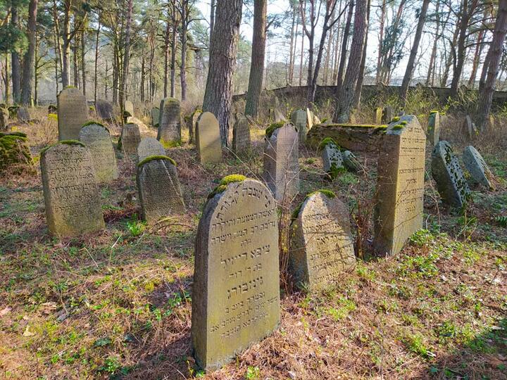 Яўрэйскія могілкі ў Гродна, красавік 2021 года. Фота з архіву суразмоўцы