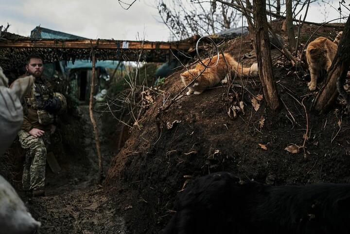 Бойцы 24-й отдельной механизированной бригады имени короля Даниила в окопах под Горловкой, Донецкая область, Украина, ноябрь 2023 года. Фото: instagram/libkos